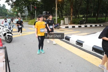 Runner Photo 4251799