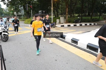 Runner Photo 4251809