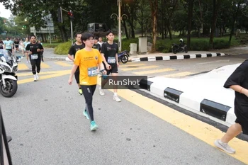 Runner Photo 4251810