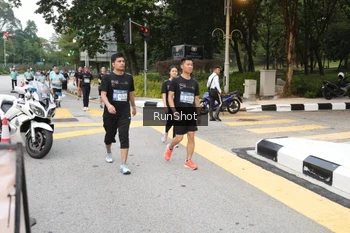Runner Photo 4252667