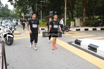 Runner Photo 4252680