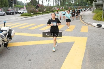 Runner Photo 4253691