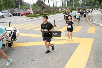 Runner Photo 4253738