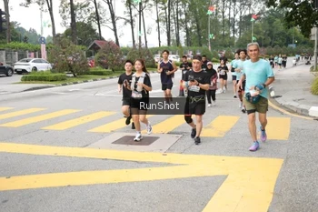 Runner Photo 4253794