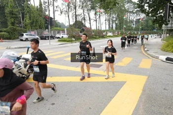Runner Photo 4253845