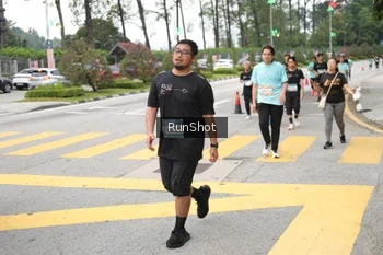 Runner Photo 4253871