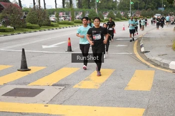 Runner Photo 4254211