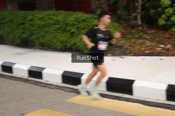 Runner Photo 4254370