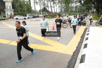 Runner Photo 4254601