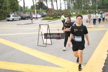 Runner Photo 4254832