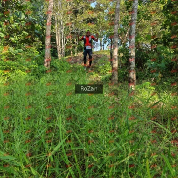 Runner Photo 4255
