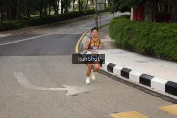 Runner Photo 4255022