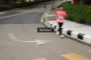 Runner Photo 4255639