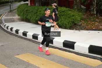 Runner Photo 4255701