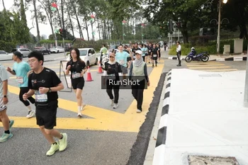 Runner Photo 4255751