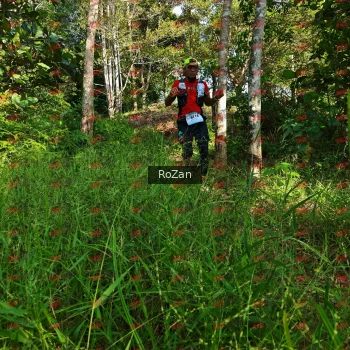 Runner Photo 4256