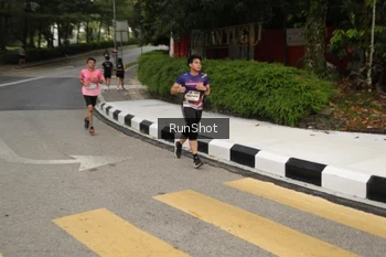 Runner Photo 4256218