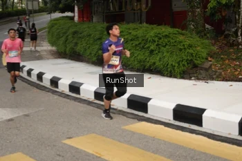 Runner Photo 4256221