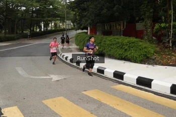 Runner Photo 4256226
