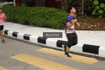 Runner Photo 4256233