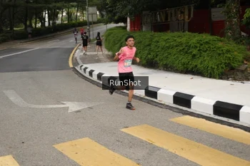 Runner Photo 4256247