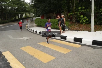 Runner Photo 4256299