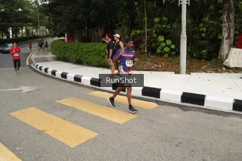 Runner Photo 4256312
