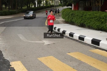 Runner Photo 4256315