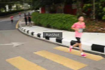 Runner Photo 4256631
