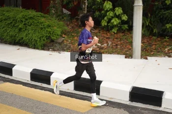 Runner Photo 4256765