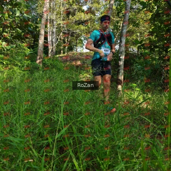 Runner Photo 4258