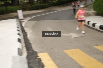 Runner Photo 4259899