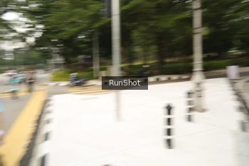 Runner Photo 4259909