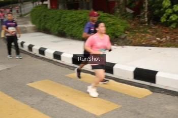 Runner Photo 4260087