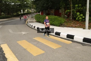 Runner Photo 4260101
