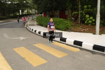 Runner Photo 4260109