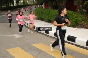 Runner Photo 4260155