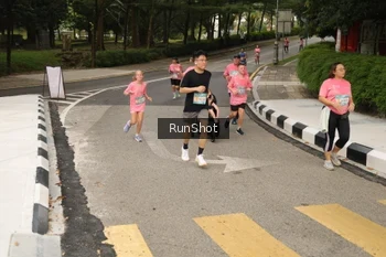 Runner Photo 4260283