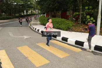 Runner Photo 4260736