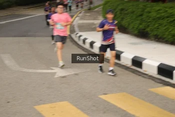 Runner Photo 4260852
