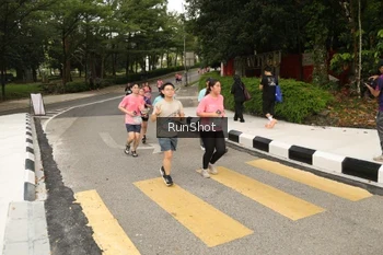 Runner Photo 4260937