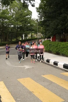 Runner Photo 4261601
