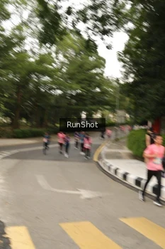 Runner Photo 4261629