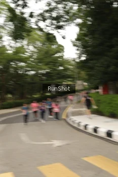 Runner Photo 4261637