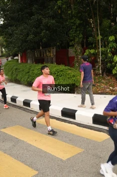 Runner Photo 4261685