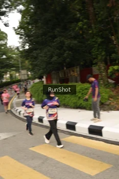 Runner Photo 4261704
