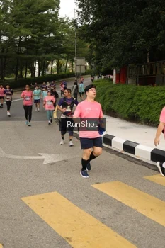 Runner Photo 4261974