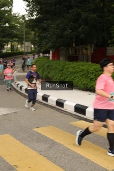 Runner Photo 4261977