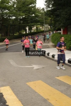 Runner Photo 4261982