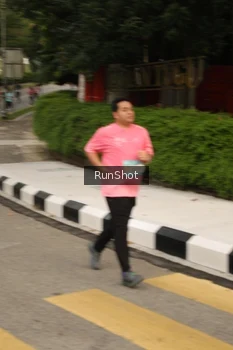 Runner Photo 4262178